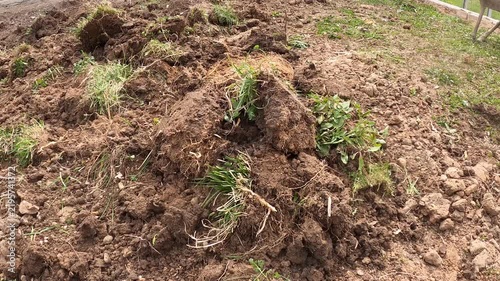 Clods of Soil Tossed Across Dug-Up Ground Outdoors