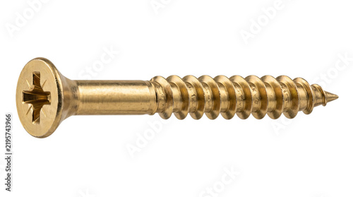 Canvastavla Brass wood screw with phillips head and sharp solated on transparent background