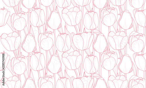 Seamless Pattern Floral Tulip Outline. Flower Botanical Hand drawn Background. Vector illustration.