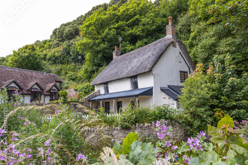 Traditional thatched roof cottage in rural village, UK