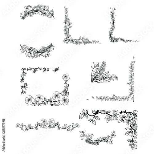 Hand Drawn Botanical Floral Border and Corner Collection