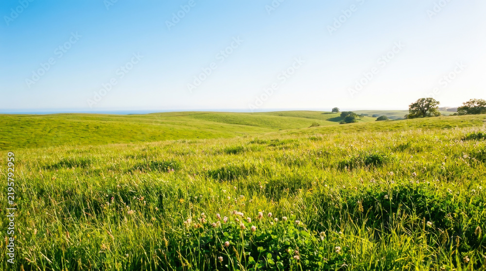 Obraz premium Green Grassland under a Clear Blue Sky