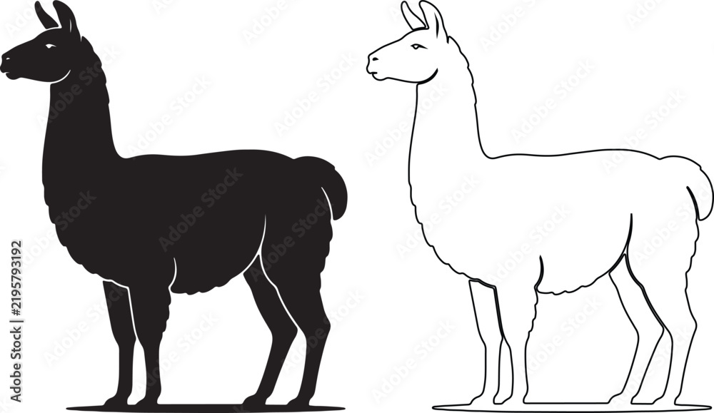 Fototapeta premium Minimalist llama silhouette and line art vector set, black and white alpaca animal icons, standing guanaco profile illustrations for logo design isolated on Transparent Background