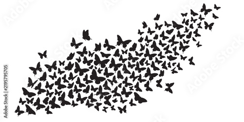 Swarm of flying butterflies silhouette vector illustration
