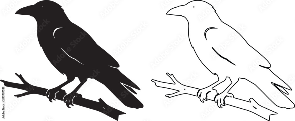 Obraz premium Black raven silhouette and line art vector set, crow perched on a branch illustration, dark gothic bird icons for halloween and nature design isolated on Transparent Background