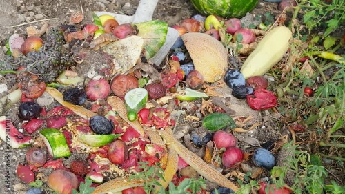 Domestic waste for compost from fruits and vegetables in garden.