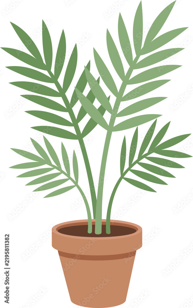 Fototapeta premium Potted Fern Plant Botanical Illustration
