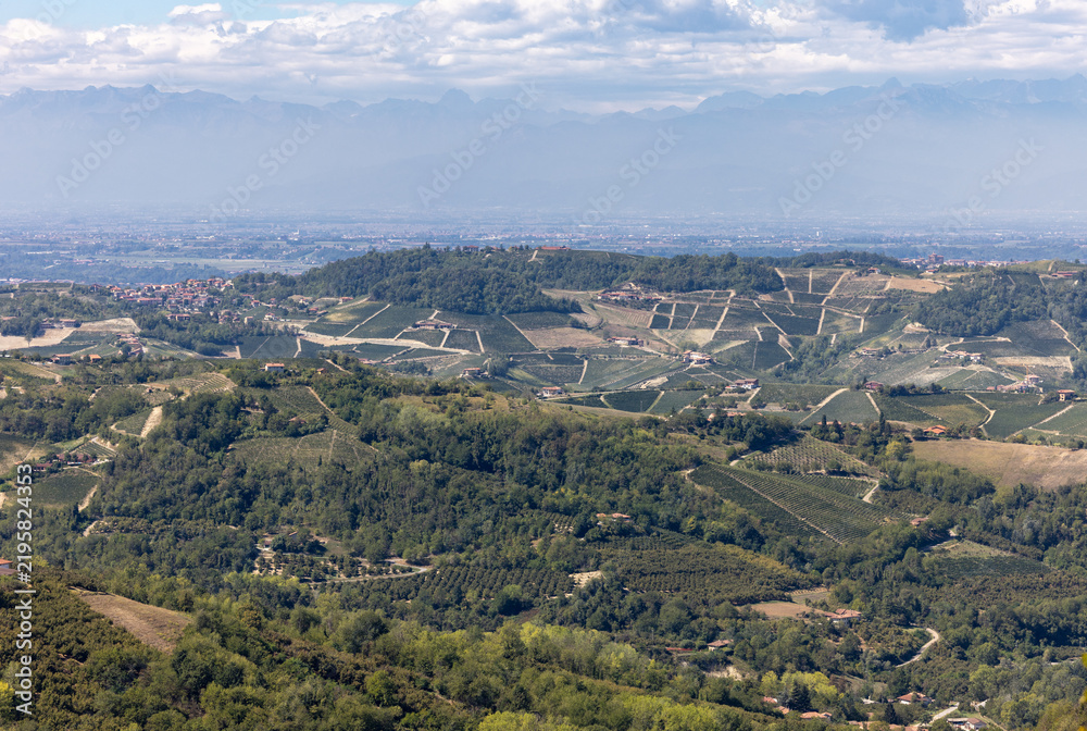 Fototapeta premium View of the Langhe-Roero hills and vineyards in Piedmont with the Alps in the background. Italy