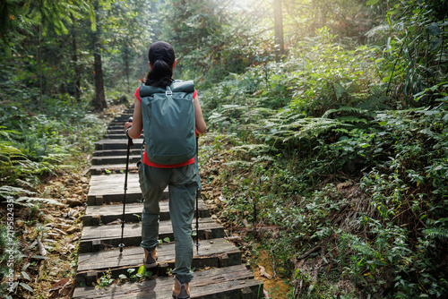 Woman hiking in autumn forest mountain