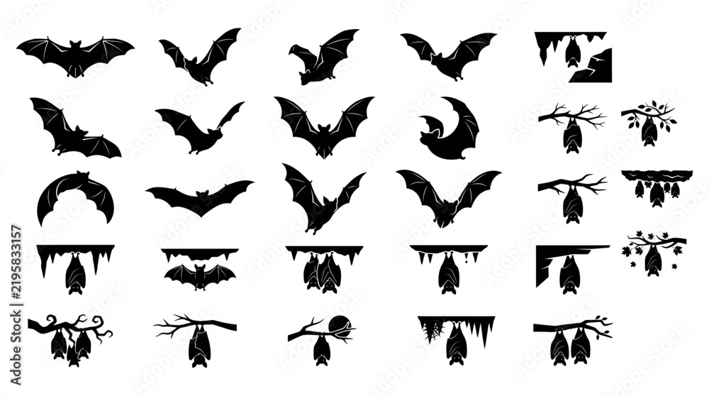 Fototapeta premium set of animals icons