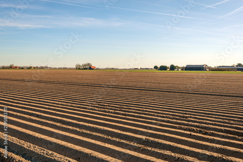 Dutch field on the former South Holland island of Goeree-Overflakkee with newly planted potatoes. The photo was taken on a sunny spring day.