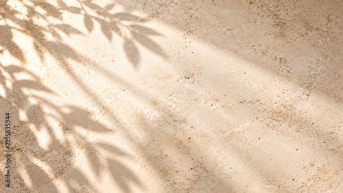 Elegant Botanical Shadow on Warm Natural Stone Background With Copy Space