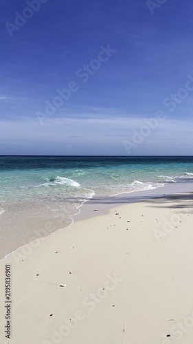 Tropical Beach Shoreline With Clear Blue Water