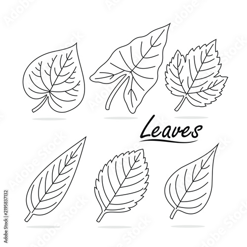 A black and white outline illustration featuring various plant leaf shapes