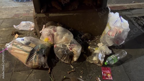 Rats Scavenging Garbage Bags on Urban Sidewalk at Night