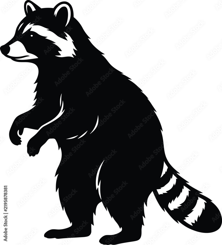Obraz premium Black and white vector illustration of a raccoon