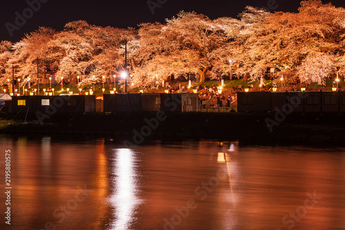 Obraz w ramie 日本の風景・春 さくら名所100選 宮城 白石川堤一目千本桜 夜桜ライトアップ