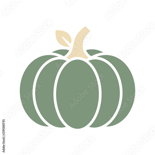 Green pumpkin icon, graphic illustration, isolated on white background