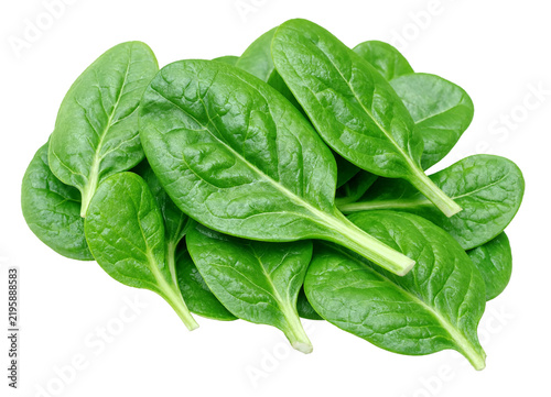 Fresh green spinach leaves on isolated background