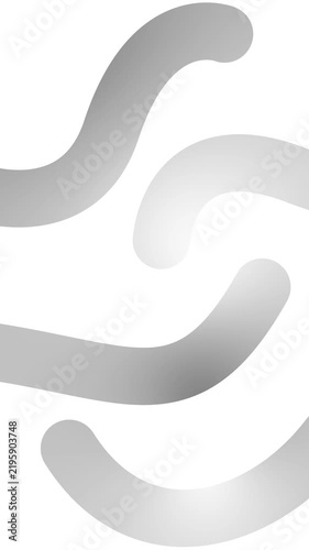 Animated silver decorative wavy lines is drawn. Linear vertical background.  Looped video. Vector illustration isolated on white background.