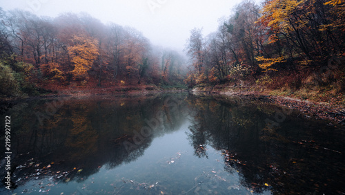 Foto Autumn forest reflecting on a lake with mist