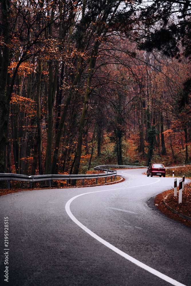 Obraz premium Red car driving on winding autumn forest road