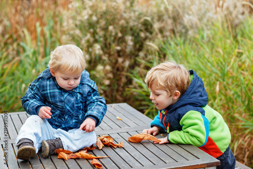 two little boys playing with maple leaves outdoors. Happy children siblings in autumn park. Toddlers twins wears trendy jacket . smiling Blonde boys portrait. Autumn fashion. Stylish child outside.