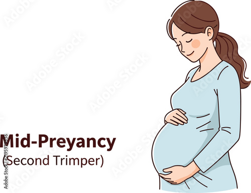 Pregnant woman illustration vector, mid‑pregnancy stage, second trimester, maternity design, expecting mother, health, care, motherhood, lifestyle art
