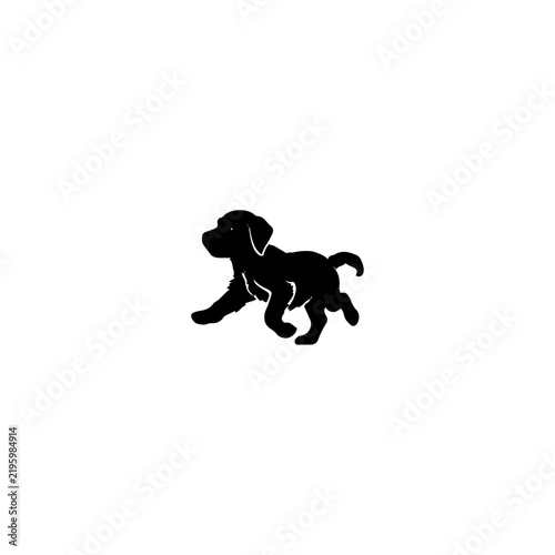 A silhouette of a playful beautiful puppy running.