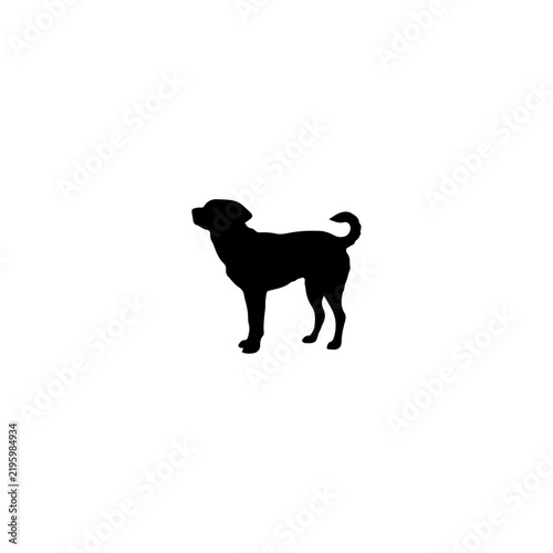 Vector of collection standing dog.
