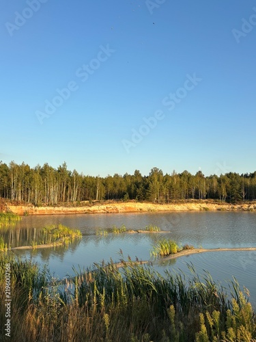 lake in the forest
