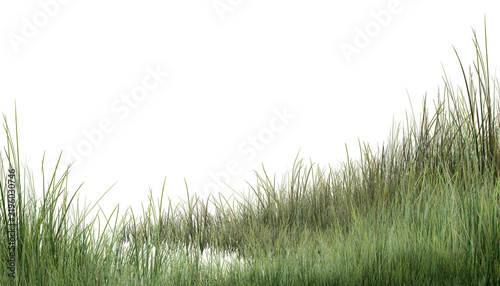 green grass background/High-resolution realistic green grass isolated on transparent background, perfect for architectural rendering and graphic design.