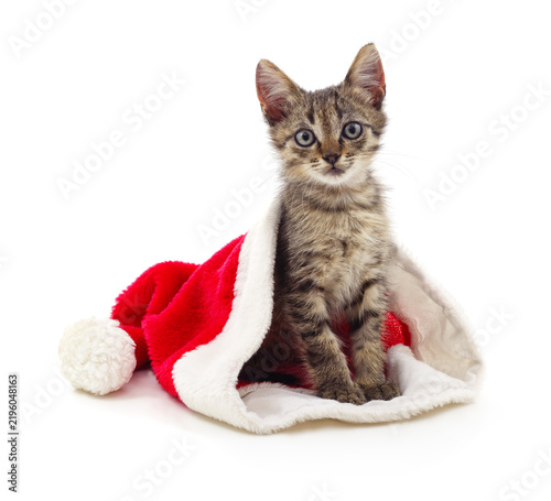 Small tabby kitten sitting inside a Santa hat isolated on a white background.