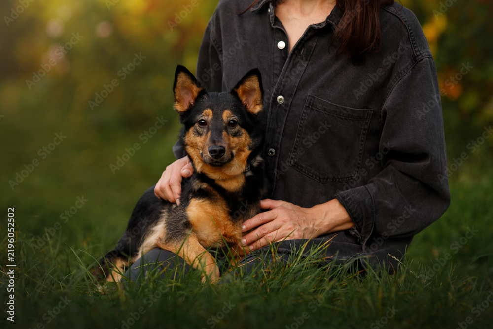 Obraz premium Loyal mixed breed dog sitting with owner on green grass in autumn park, cute german shepherd puppy hugging with human woman friend outdoors, pet love and lifestyle connection concept horizontal shot