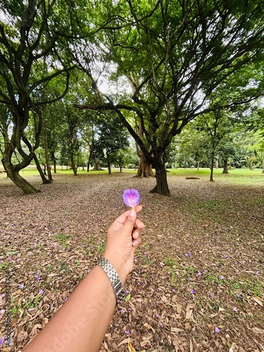 Фотография Botanical Garden vibe