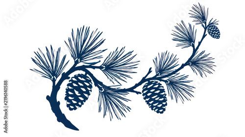 Pine Branch with Cones in Dark Blue Ink Illustration Style