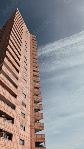 Plakat montecarlo