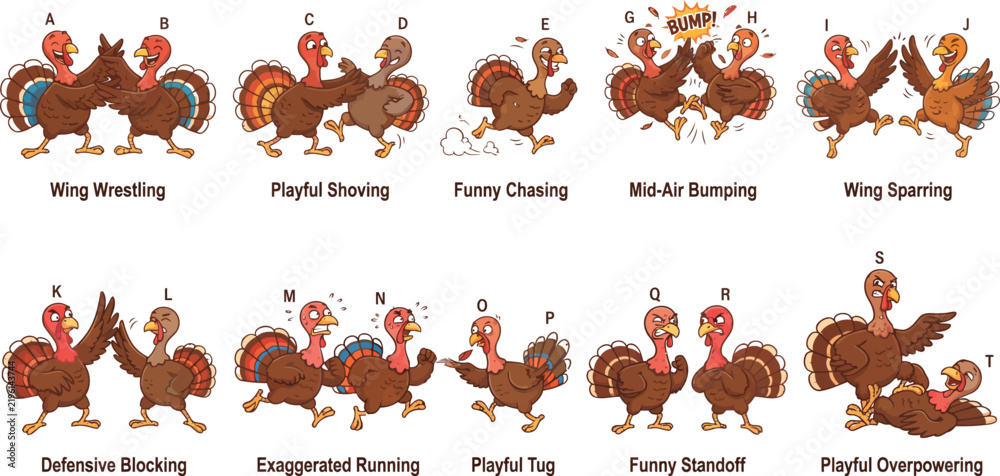Fototapeta premium Turkeys_fighting_vector_collection_2K_20260917101550.eps