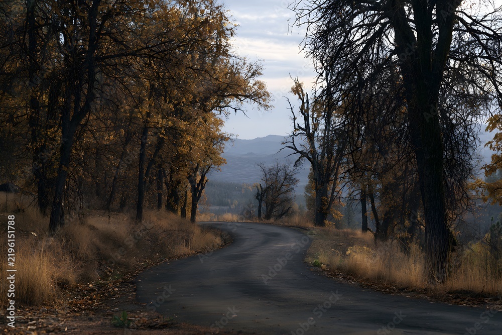 Fototapeta premium A quiet rural road curving through an autumn forest with golden trees and mountain views in the distance