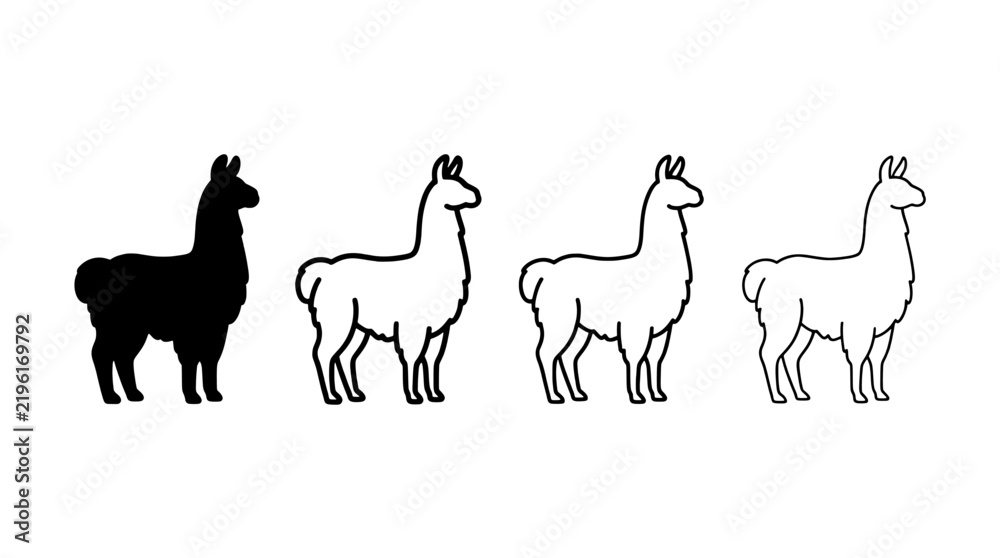 Fototapeta premium Set of four llama and alpaca vector silhouettes and outline icons isolated on white background