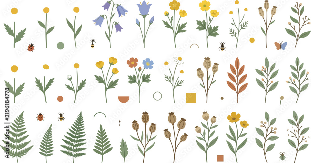 Fototapeta premium Vintage wildflower botanical collection, hand drawn meadow floral elements, rustic garden herbs and forest fern vector set for wedding stationery