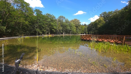 
nowy staw rekreacyjny okolice podkowy leśnej głownej
New recreational pond near Podkowa Leśna Główna.