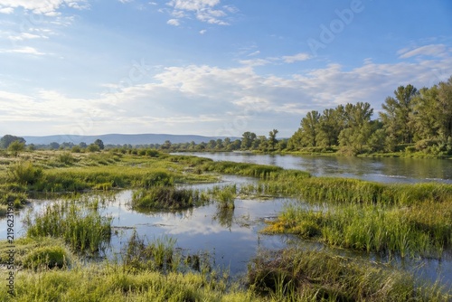 Restored Wetland Holding Water Beside Meandering River