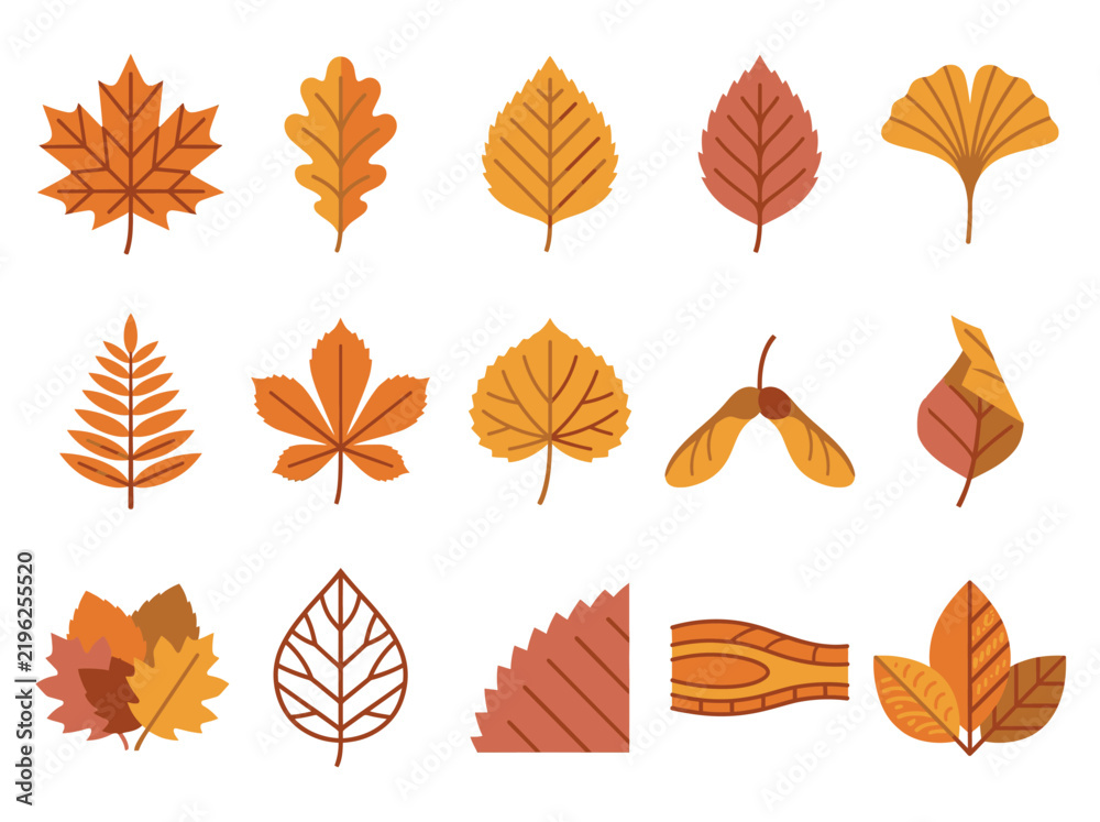 Fototapeta premium Premium set of 15 unique autumn leaf vector icons for commercial seasonal design projects featuring diverse tree foliage and botanical elements