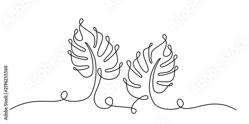  two monstera line art