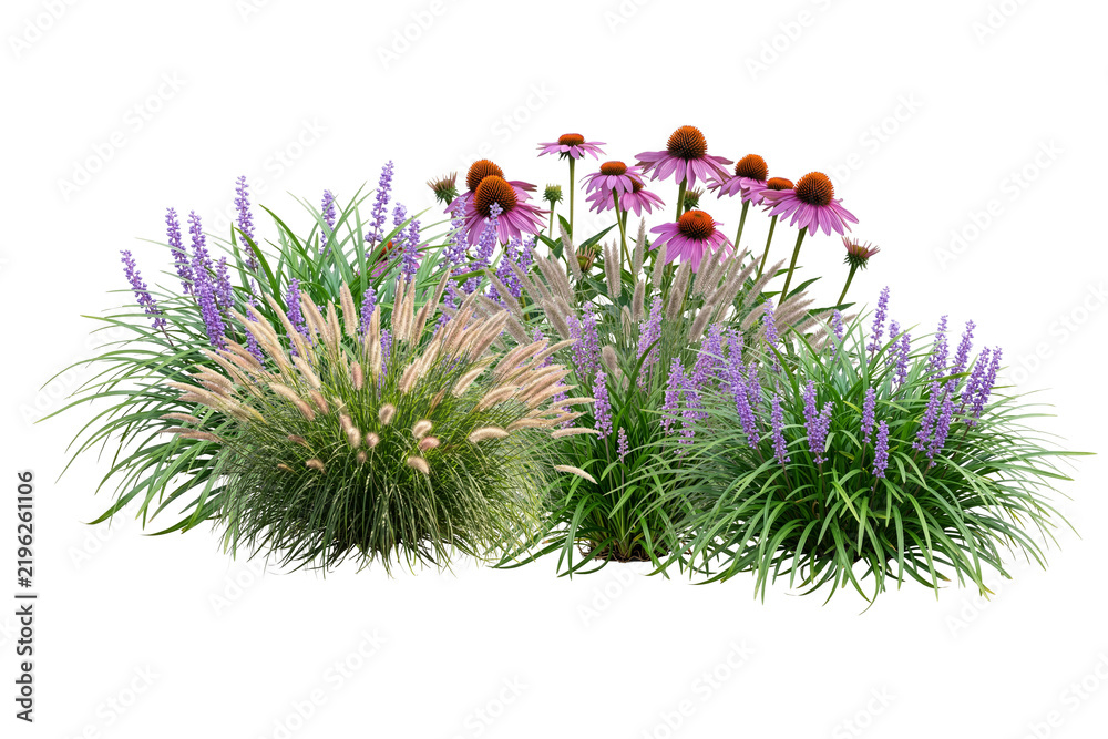Fototapeta premium Collection of flowers and low shrubs for landscaping, transparent background
