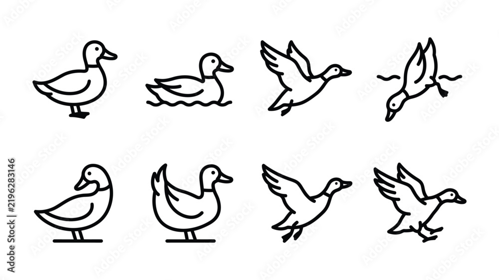 Obraz premium Duck Icon Set: A collection of simple line art icons showcasing ducks in various poses, including standing, swimming, flying, and diving.