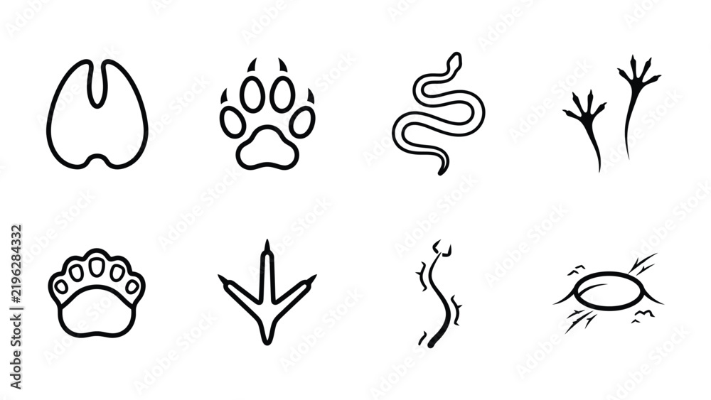 Obraz premium Set of Animal Footprints and Tracks: A collection of black and white line art illustrations depicting various animal footprints, paw prints, and tracks, including a hoof print, a dog paw.