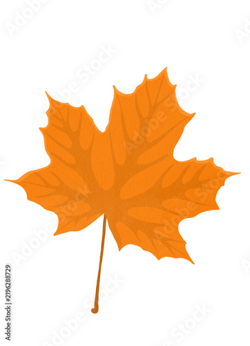 autumn maple leaf