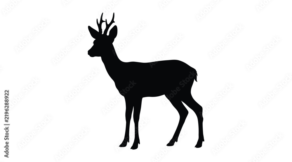 Fototapeta premium Roe deer silhouette stands against a white background a detailed animal form